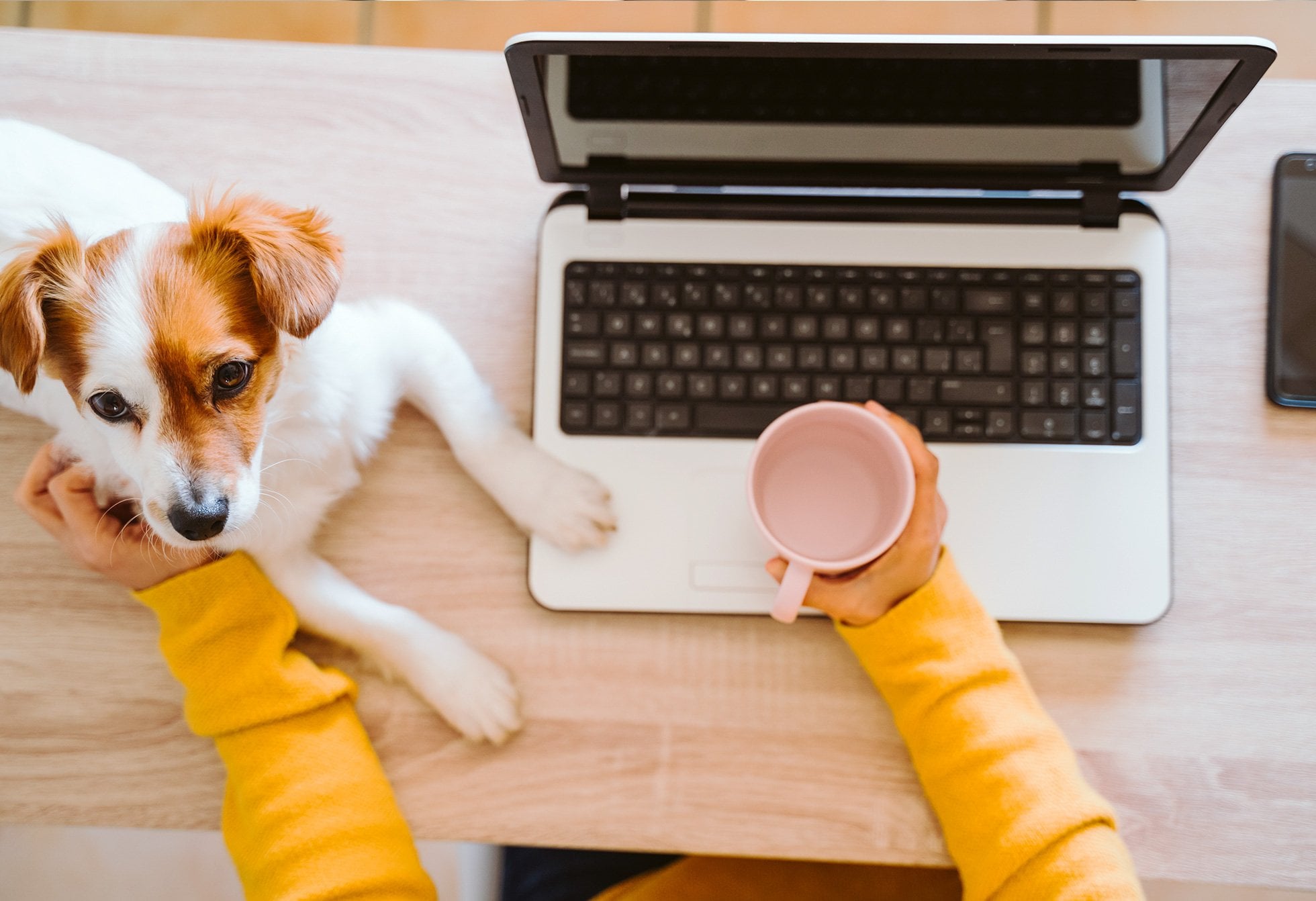 Managing the Challenges of Working from Home